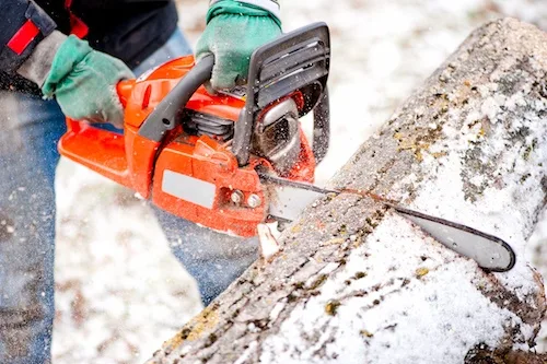 Complex Tree Felling