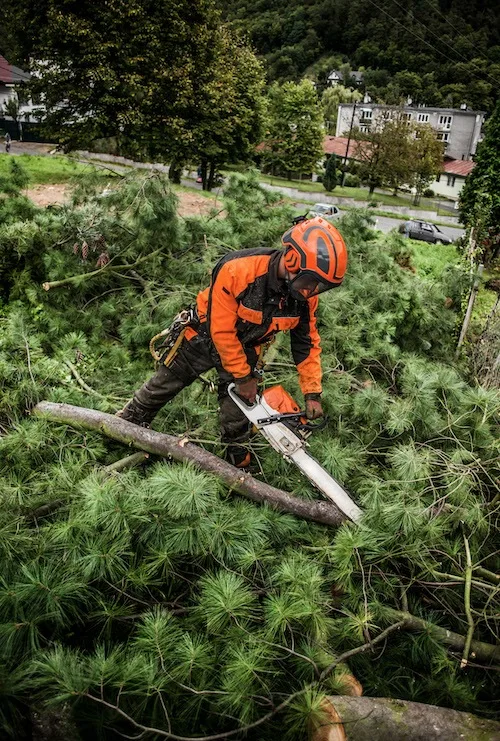 Storm & Emergency Response